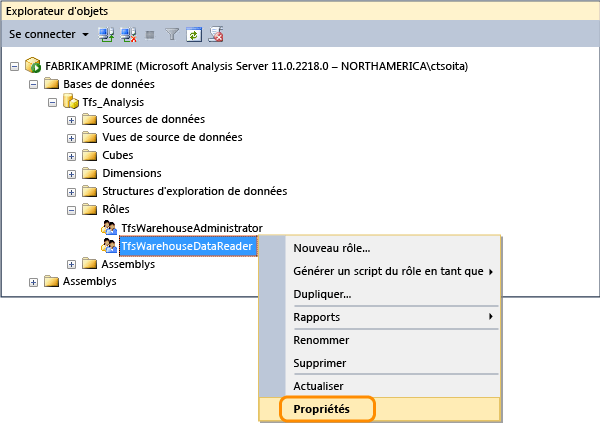 Ouvrir les propriétés du rôle de lecteur de données Tfs_Analysis
