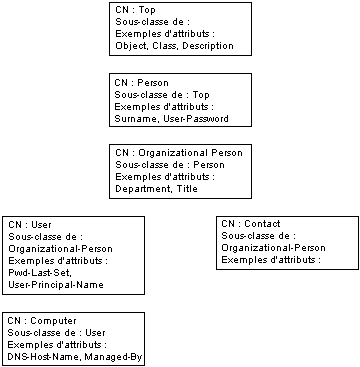 Figure 1. Classes d'objet de schéma avec héritage