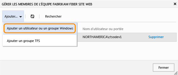 Choisir d'ajouter des comptes Windows ou un groupe TFS
