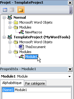 Fenêtre des propriétés Visual Basic Editor
