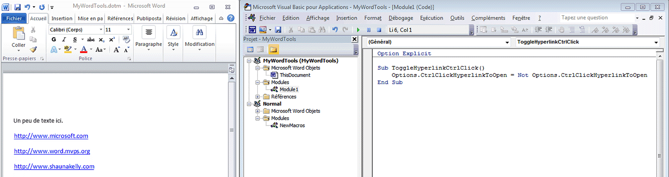 Écran partagé entre un document et Visual Basic Editor