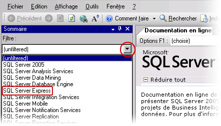 Filtre SQL Server Express dans la Documentation en ligne