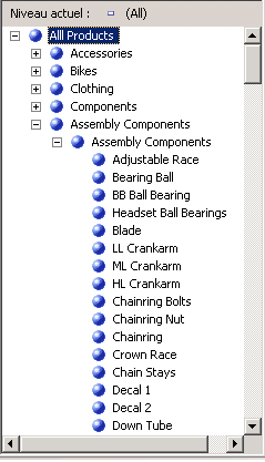 Niveau Nom de produit affichant des composants d'assembly