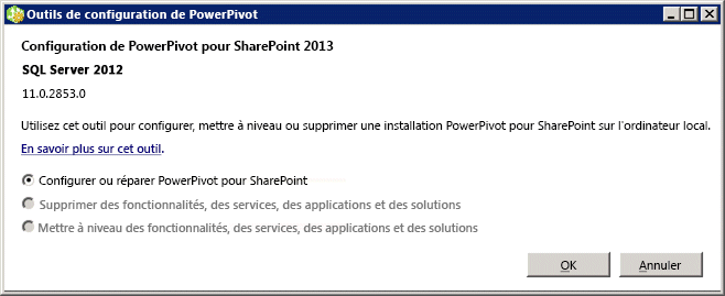 Outil de configuration de PowerPivot pour SharePoint 2013
