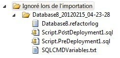 Dossier des éléments ignorés lors de l'importation dans SSDT