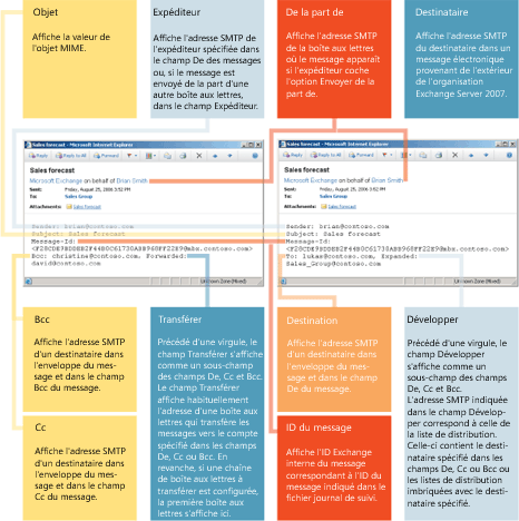 Figure 2 Rapports de journal indiquant un destinataire en transfert et un destinataire d'un groupe de distribution étendu