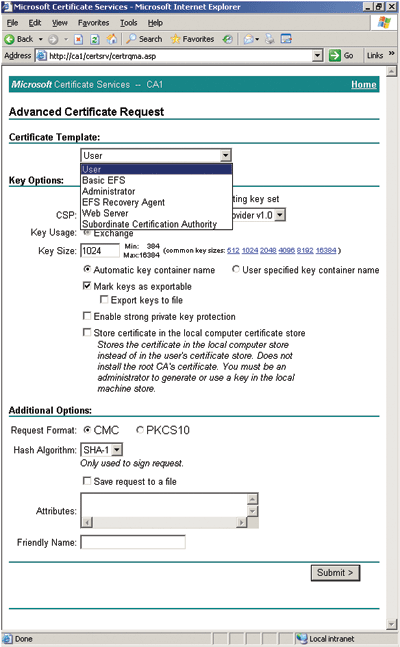 Figure 3 Making an Advanced Certificate Request