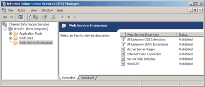 Figure 3 IIS Manager