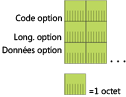 Figure 2 Structure des options DHCPv6