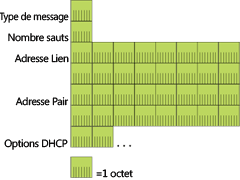 Figure 3 Structure de messages entre le relais et le serveur