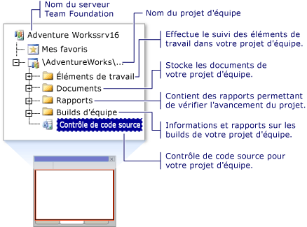 Nœuds de l'Explorateur d'équipes