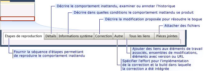 Formulaire d'élément de travail Bogue CMMI - onglets