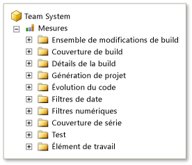 Mesures Team System