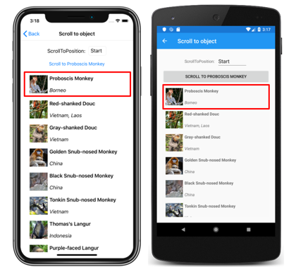 Liste verticale CollectionView avec élément de défilement Capture d’écran d’une liste verticale CollectionView avec ScrollToPosition.Start, sur iOS et Android