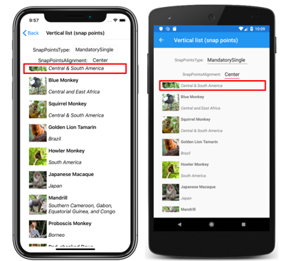 Liste verticale CollectionView avec des points d’ancrage centre Capture d’écran d’une liste verticale CollectionView avec des points d’ancrage centre, sur iOS et Android