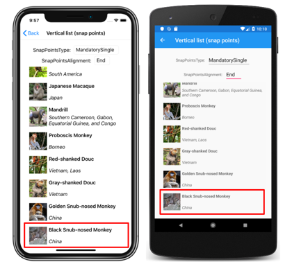 Liste verticale CollectionView avec points d’ancrage de fin Capture d’écran d’une liste verticale CollectionView avec des points d’ancrage de fin, sur iOS et Android