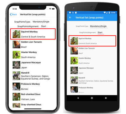 Liste verticale CollectionView avec des points d’ancrage de début Capture d’écran d’une liste verticale CollectionView avec des points d’ancrage de démarrage, sur iOS et Android