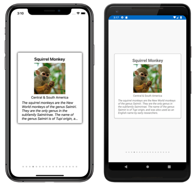 Capture d’écran d’un CarouselView et d’IndicatorView, sur iOS et Android