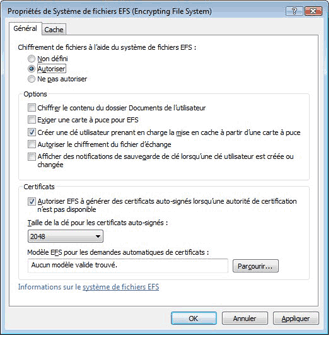 Figure&nbsp;3.1 Boîte de dialogue Propriétés du système de fichiers EFS