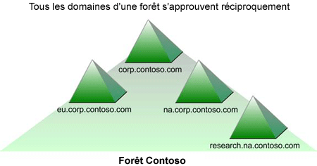 Figure&nbsp;6.5. Forêt Windows 2000 Server unique