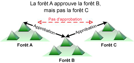 Figure&nbsp;6.6. Approbation de forêt Windows Server 2003