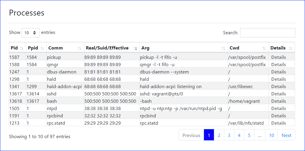 Processes Report