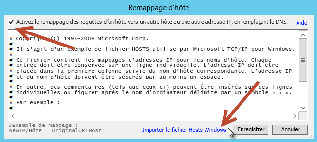 Figure 5. Interface utilisateur permettant d’utiliser le fichier HOSTS local