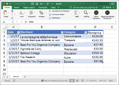 Capture d’écran de l’exemple de classeur Excel.