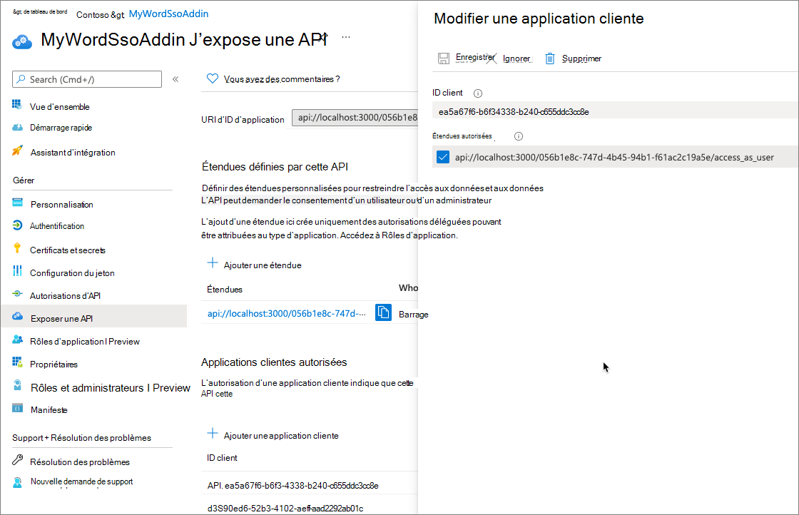 Capture d’écran montrant l’ID et les clients autorisés qui peuvent accéder à l’API du complément.