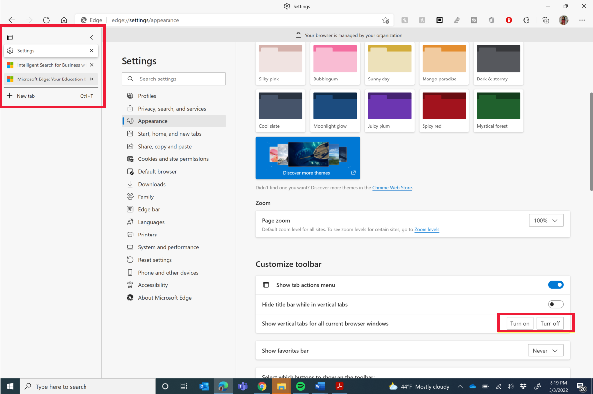 Screenshot of the settings panel in Microsoft Edge with vertical tabs enabled.