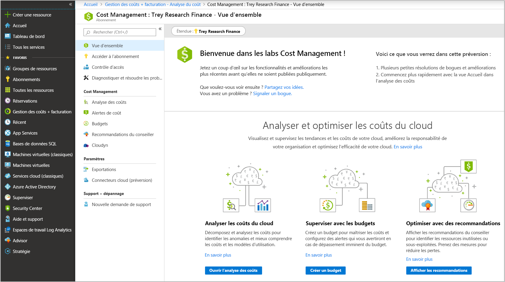 Screenshot of Azure Portal navigated to Cost Management overview panel from the Cost Management + Billing side navigation.