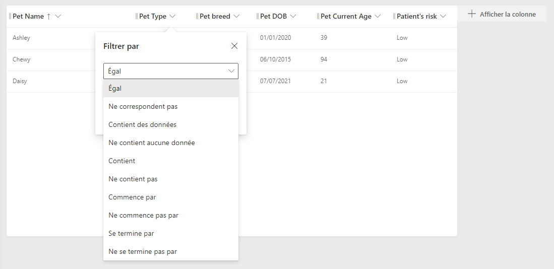 Capture d’écran de la fenêtre contextuelle Filtrer par avec les options de condition affichées.