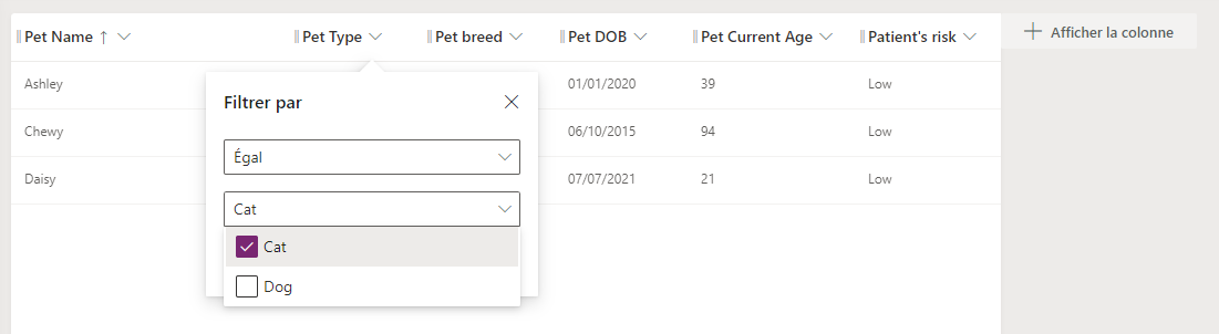 Capture d’écran de la fenêtre contextuelle Filtrer par avec les valeurs disponibles de la colonne.