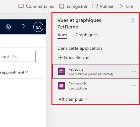 Capture d’écran du volet des propriétés pour les vues.