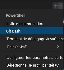 Screenshot of the Visual Studio Code terminal window showing the select shell drop-down.