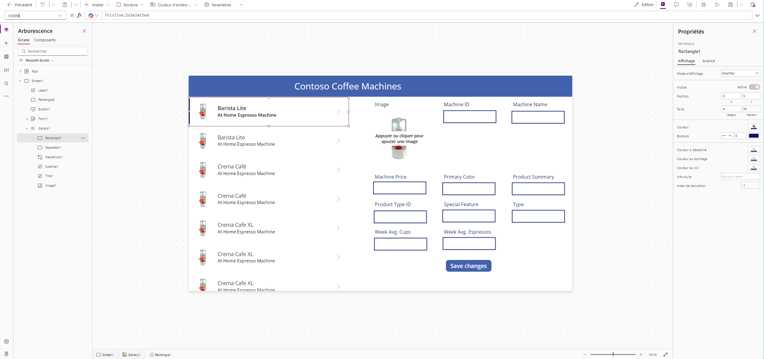 Capture d’écran de contrôles et propriétés de galerie.
