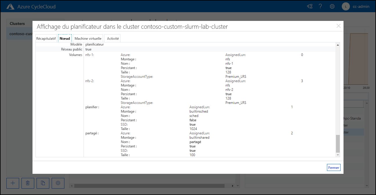 Screenshot of the Node tab page of the detailed view of a cluster configured with two additional NFS volumes.