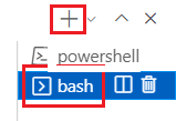 Screenshot of the Visual Studio Code terminal window, with the bash terminal and the plus sign selected.