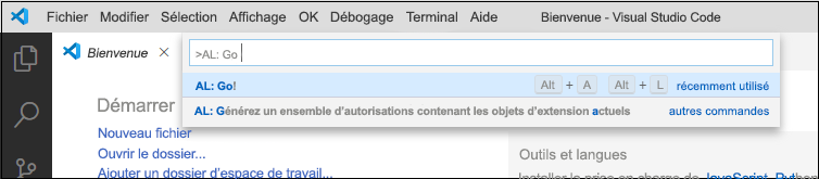 Capture d’écran de la saisie de la commande AL Go dans le menu.