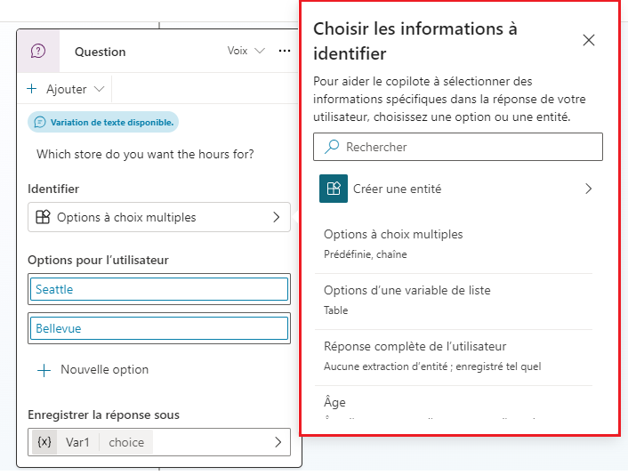 Capture d’écran d’options à choix multiple illustrant la boîte de dialogue Choisir les informations à identifier avec les options Valeur booléenne, Ville, Couleur, Continent et Pays ou région.