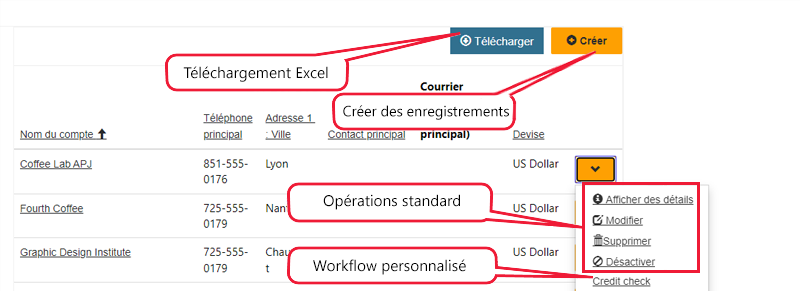 Capture d’écran des commandes et vues de liste.