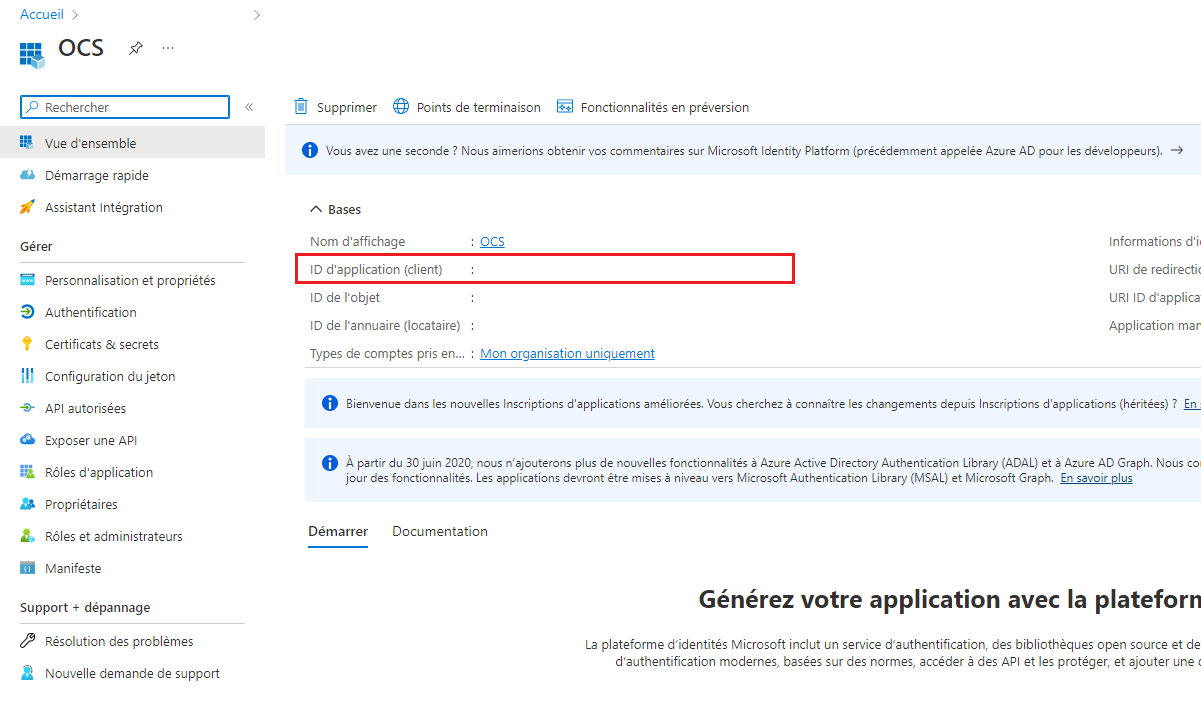 Capture d’écran mettant en évidence l’ID d’application (client) sur la page de présentation de l’application.