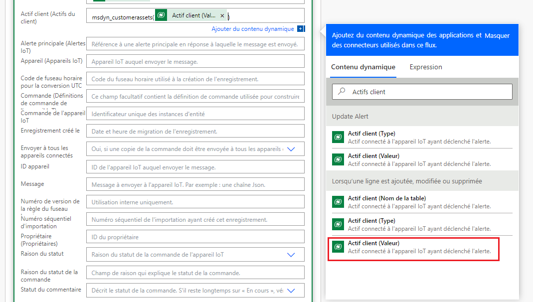 Capture d’écran de l’option Customer Asset (Value).