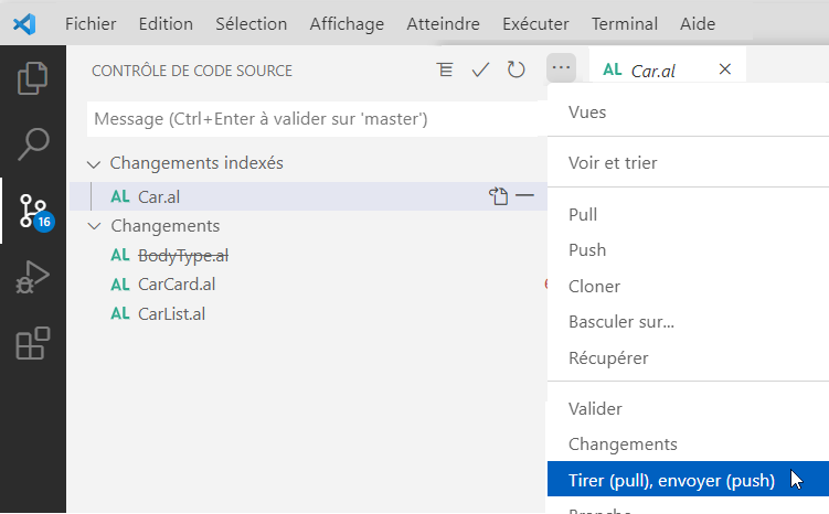 Capture d’écran du menu de commande SCM avec les options push, pull et sync.