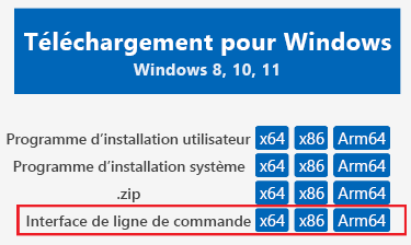 Capture d’écran du volet de téléchargement.