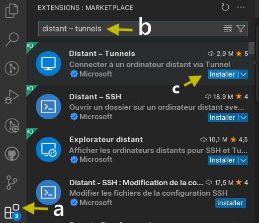 Capture d’écran de la recherche de Tunnels à distance dans Extensions&nbsp;: Place de marché.
