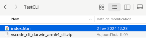 Capture d’écran d’un fichier compressé.