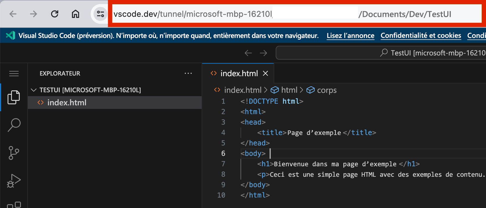 Capture d’écran de la vue client.