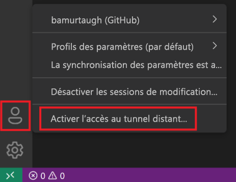 Capture d’écran de l’activation de l’accès à Tunnels à distance.