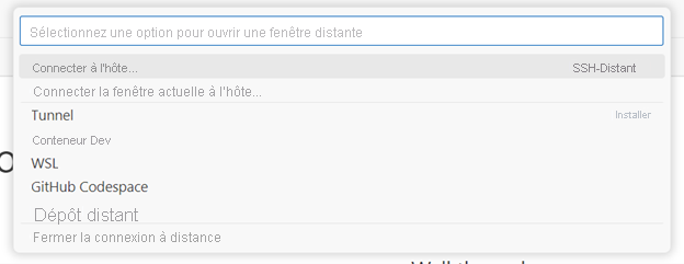 Capture d’écran montrant les commandes principales auxquelles vous pouvez accéder en cliquant sur l’indicateur distant.